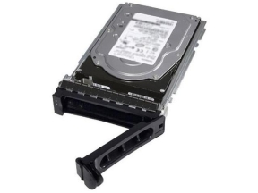 480GB 12G 2.5INCH RI SAS SSD