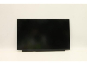 DISPLAY FRU AUO B156HTN06.2 