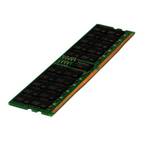 16GB DDR5 5600MT/S ECC REG/1RX8 MODULE