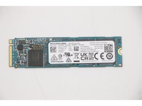 SSD M.2 PCIe NVMe FRU SSD 