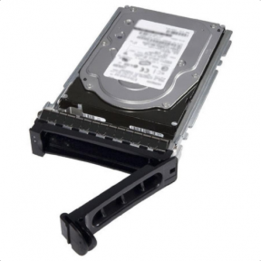 SSD Server Dell ASSY 480GB, SAS, 2.5inch