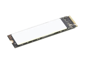 TP 2TB SSD PERFORM PCIE G4 