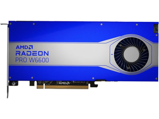 Amd Radeon Pro W6600 8Gb 