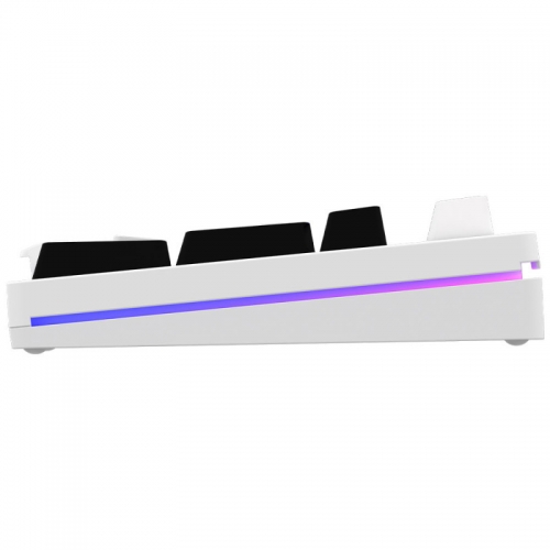 Tastatura AQIRYS Aludra, RGB LED, USB, White